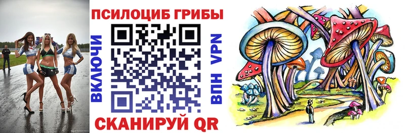 kraken зеркало  Озёры  Псилоцибиновые грибы Psilocybine cubensis  купить закладку 